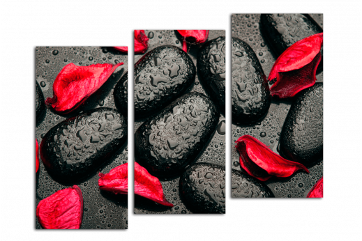 Модульная картина Черные камни красные лепестки